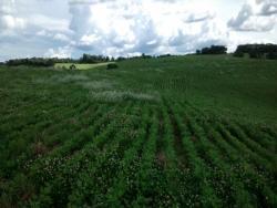 #183 - Fazenda para Venda em Campos Novos - SC - 3