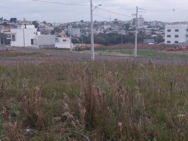 #711 - Área para Venda em Campos Novos - SC - 3