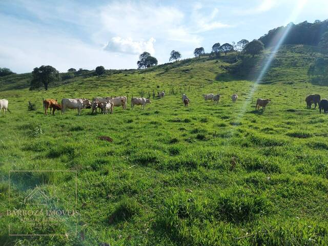 #730 - Chácara para Venda em Campos Novos - SC - 1