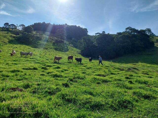 #730 - Chácara para Venda em Campos Novos - SC - 3